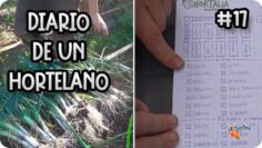 [ID: k0U2aIbFE54] Youtube Automatic