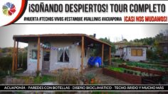 [ID: KAxeSXeBSLs] Youtube Automatic