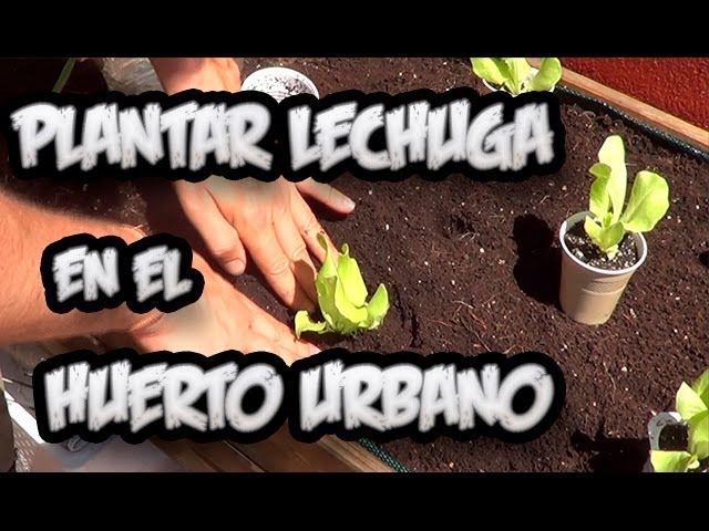 Precargar imagen