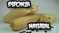 [ID: kej0_VWjgWk] Youtube Automatic