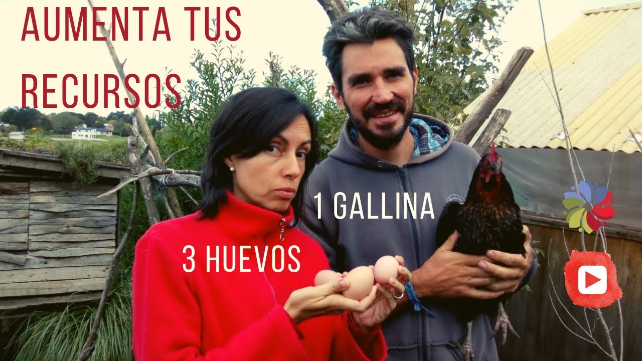 Precargar imagen
