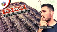 [ID: kSJIJYOj9_A] Youtube Automatic