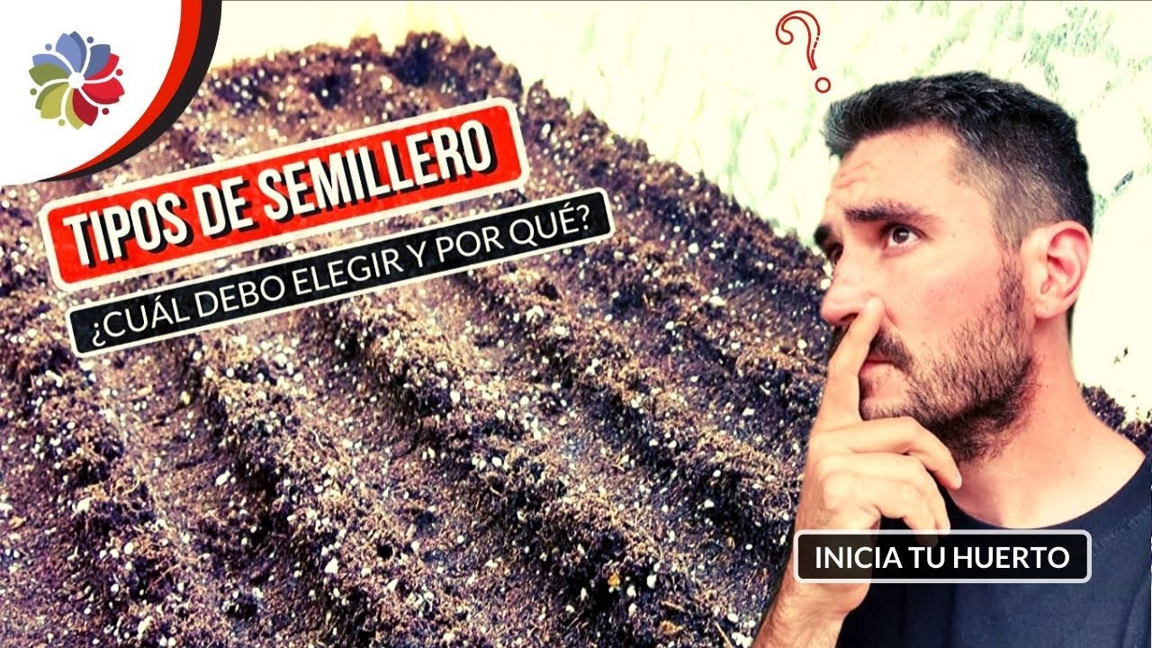 Precargar imagen