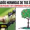 [ID: kVLMXNVdd6I] Youtube Automatic