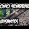 [ID: l9kD1mwMj2E] Youtube Automatic