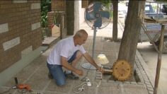 [ID: laA-ZQSI_mU] Youtube Automatic