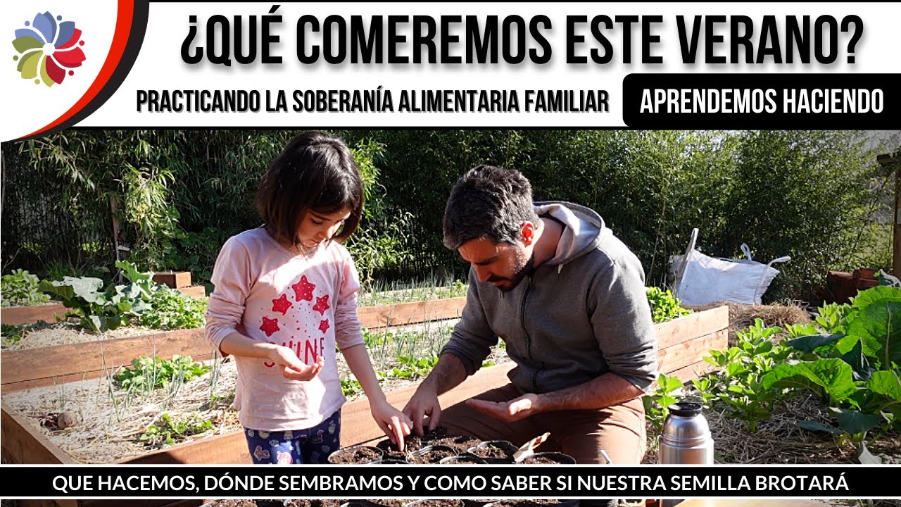 Precargar imagen