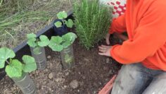 [ID: LGhe_h6bxhk] Youtube Automatic