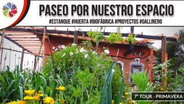 [ID: lLJy8ZmIVd8] Youtube Automatic