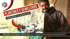 [ID: LWWTkPiH2Ck] Youtube Automatic