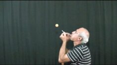 [ID: lZpqEEe6Y54] Youtube Automatic