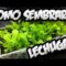[ID: mhXE5SL-nZQ] Youtube Automatic