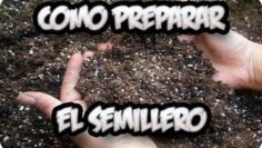 [ID: mrZCo1XaPfM] Youtube Automatic