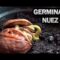 [ID: NfEZjFwNSAI] Youtube Automatic