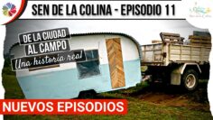 [ID: nIeIomtYzbs] Youtube Automatic