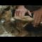 [ID: NYxQV9hJSkM] Youtube Automatic