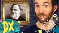 [ID: oCoSwlEDPeM] Youtube Automatic