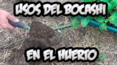 [ID: OdDib_mi4N0] Youtube Automatic