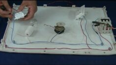 [ID: oDNbZZ2r6EQ] Youtube Automatic