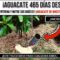 [ID: OEc46c_30xc] Youtube Automatic
