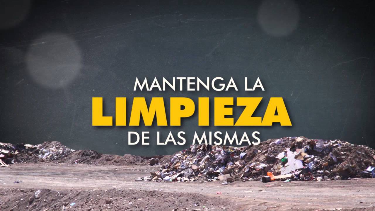 Precargar imagen
