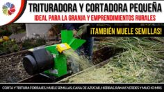 [ID: OkV2PBUf6tQ] Youtube Automatic