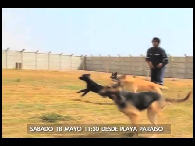 Precargar imagen