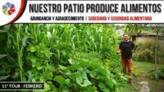 [ID: oL92T3oVsX4] Youtube Automatic