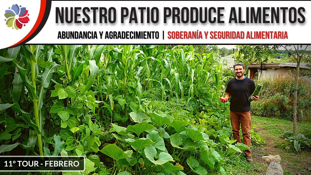 Precargar imagen