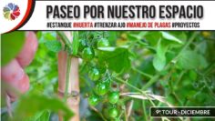 [ID: OOwKEukT7Po] Youtube Automatic