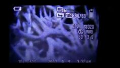 [ID: oYTZcK7eo90] Youtube Automatic