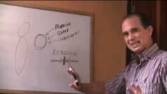 [ID: P0dIj55jb-w] Youtube Automatic