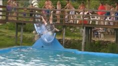 [ID: p1tbQHTlgTc] Youtube Automatic