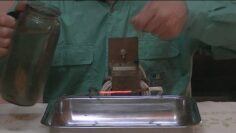 [ID: p_22YUxC-ZM] Youtube Automatic