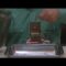 [ID: p_22YUxC-ZM] Youtube Automatic