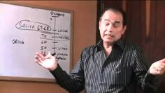 [ID: PDPbJ8SuY_U] Youtube Automatic