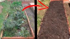 [ID: peCdhLBQXfM] Youtube Automatic