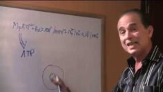 [ID: pjq0OB8e7ZM] Youtube Automatic