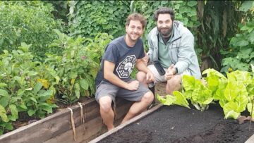 [ID: PNYRCoCSq5c] Youtube Automatic