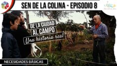 [ID: pw_NNYUa5Rs] Youtube Automatic