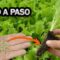 [ID: Q0S248cD2zg] Youtube Automatic