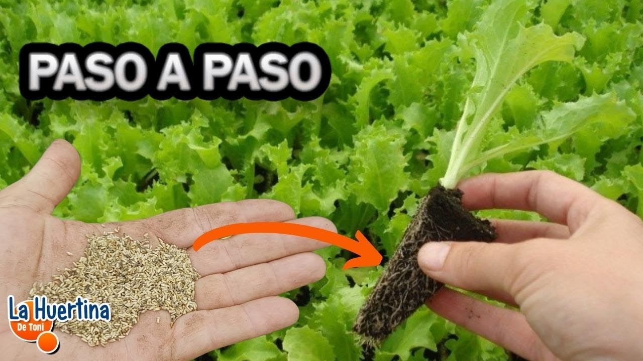 Precargar imagen