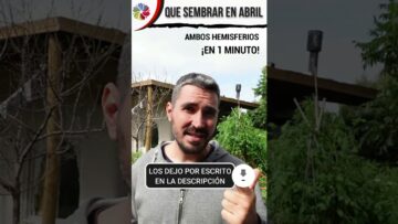 [ID: QAlSrbsFqFY] Youtube Automatic