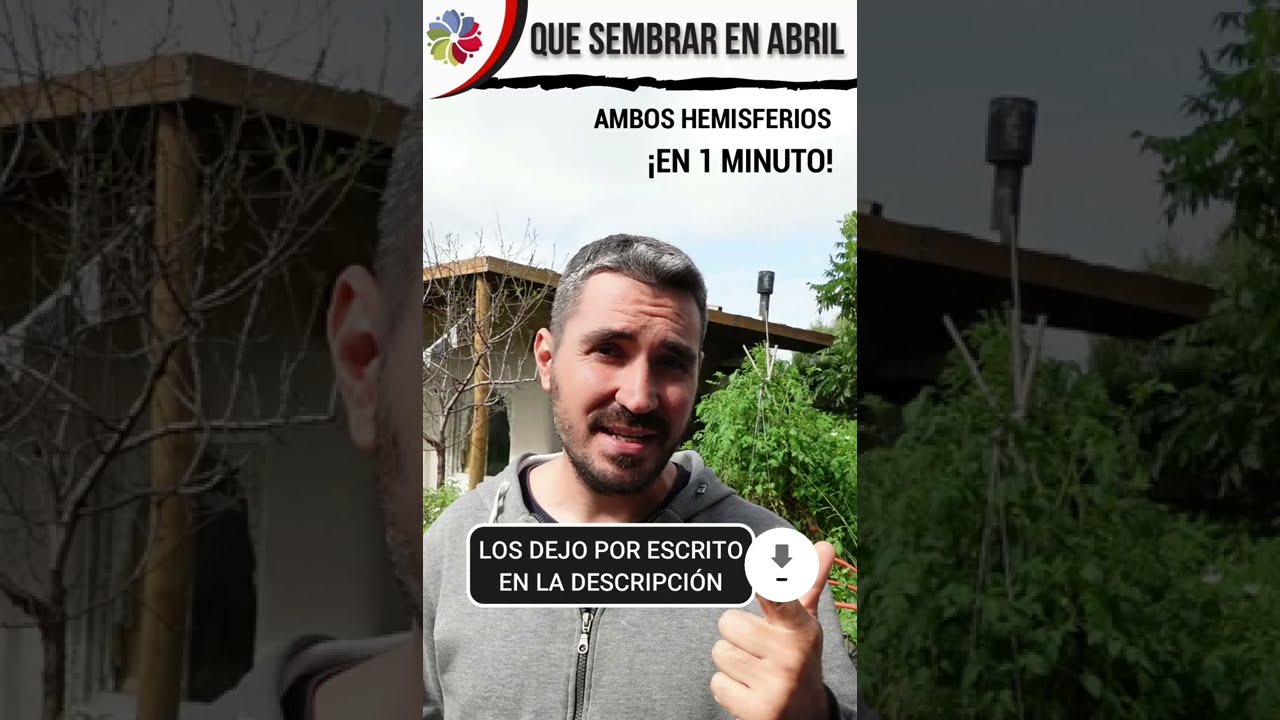 Precargar imagen