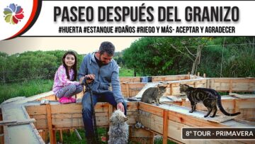 [ID: Qfujrnn5AVM] Youtube Automatic