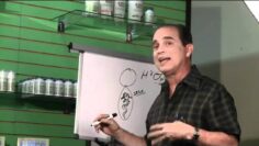 [ID: QhOhnYDGDoY] Youtube Automatic