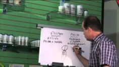 [ID: QLZ-uYGnoWQ] Youtube Automatic