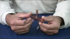 [ID: qrJCtE-nmSs] Youtube Automatic