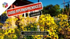 [ID: qRm9c3zRwJk] Youtube Automatic