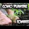 [ID: QYGGrklhRh8] Youtube Automatic